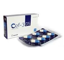 Cef -3 Ds - https://demo.bangladeshiit.com