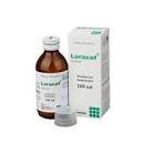 Loracef pfs 100 ml - https://demo.bangladeshiit.com