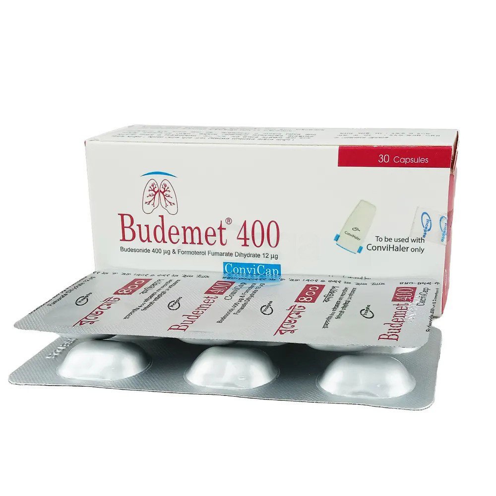 Budemet 400 - https://demo.bangladeshiit.com