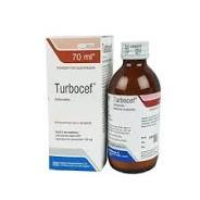 Turbocef sus - https://demo.bangladeshiit.com