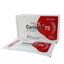 Carticel ts tab - https://demo.bangladeshiit.com