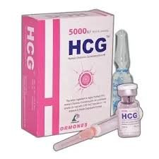 HCG 5000 IU INJ - https://demo.bangladeshiit.com