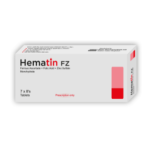 Hemantin Fz tab - https://demo.bangladeshiit.com