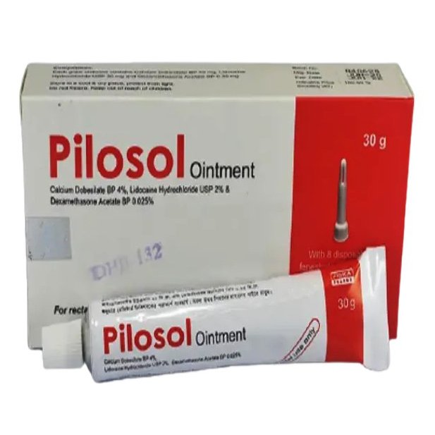 Pilosol 30gm ointment - https://demo.bangladeshiit.com