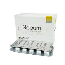 Noburn - https://demo.bangladeshiit.com
