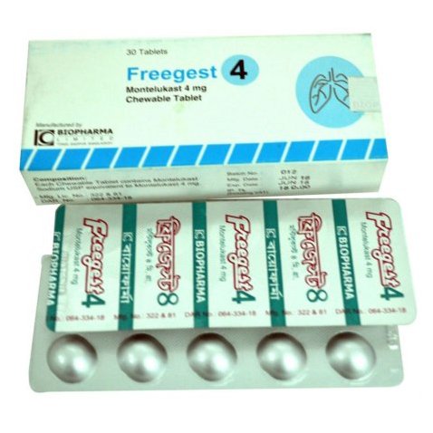 Fieegest  4 - https://demo.bangladeshiit.com